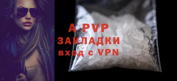 стаф Алексин