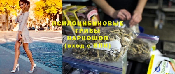 ешки Алзамай