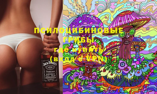 хмурый Алексеевка