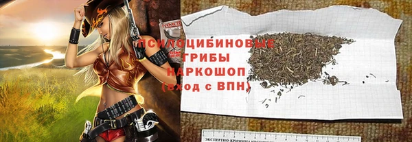 ешки Алзамай