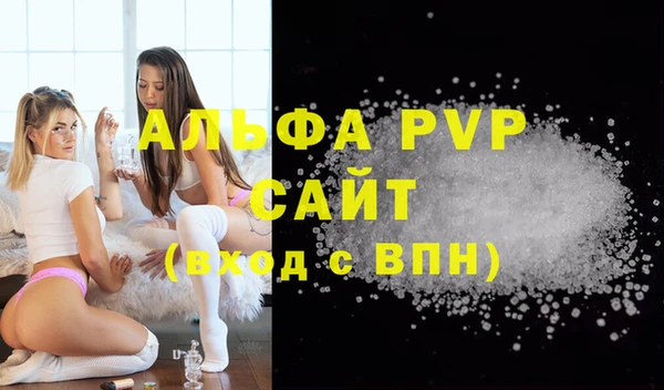 стаф Алексин