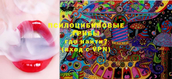 хмурый Алексеевка