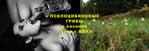 ешки Алзамай