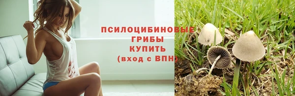 стаф Алексин