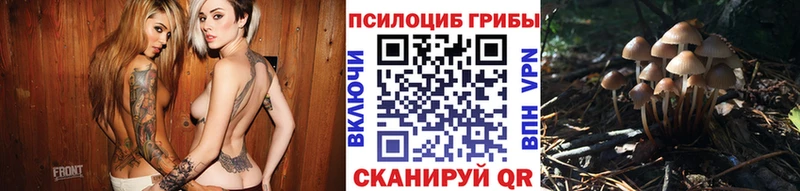 KRAKEN как зайти  купить наркотик  Кондопога  Псилоцибиновые грибы Magic Shrooms 