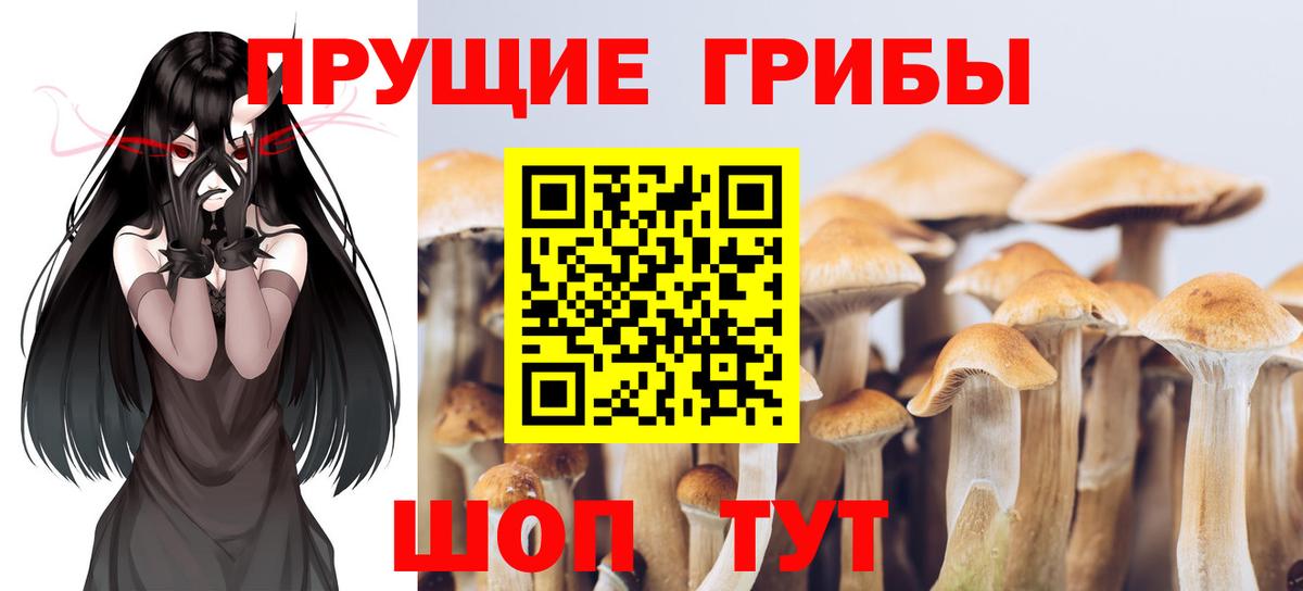 Псилоцибиновые грибы ЛСД  Вход с VPN  Кондопога 