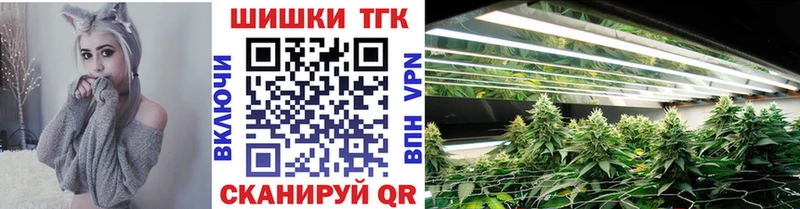 Шишки марихуана план  Кондопога 